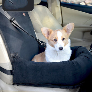 Traveling with Your Pet Made Easy