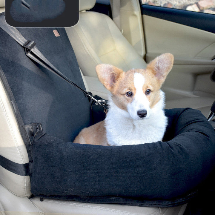 Traveling with Your Pet Made Easy
