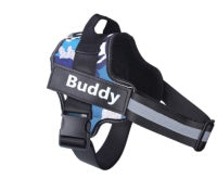 Why Your Pet Deserves the Personalized Pet Harness