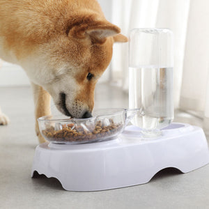 Transform Your Pet's Dining Experience with Our Transparent Plastic Pet Feeding and Drinking Bowl