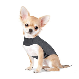 The Ultimate Comfort for Your Anxious Pet