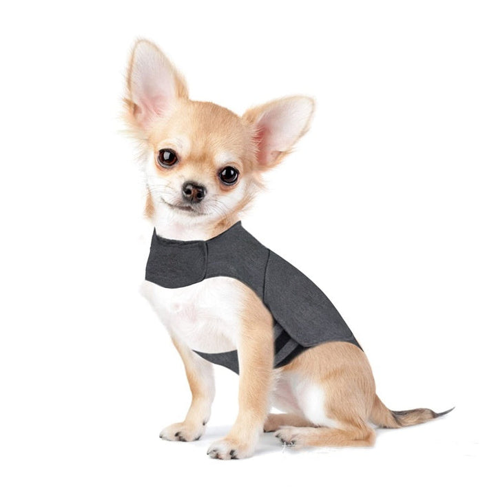 The Ultimate Comfort for Your Anxious Pet