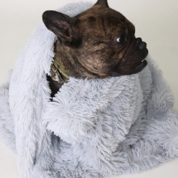 Soft Pet Blanket For Warmth And Everyday Comfort