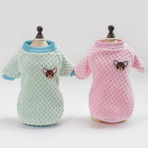 Experience the Joy of Stylish Comfort for Your Pets