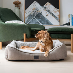 Pet Beds comforts pet Rest Every Day