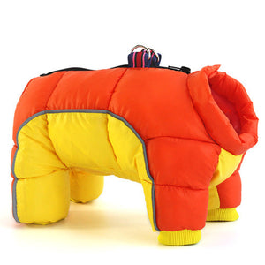 Keep Your Dog Cozy This Winter with Our Stylish Down Jacket