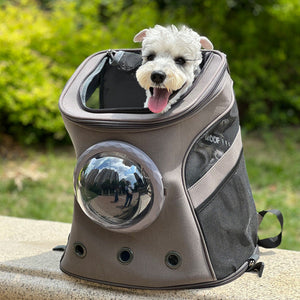 The Ultimate Travel Companion for Your Pet