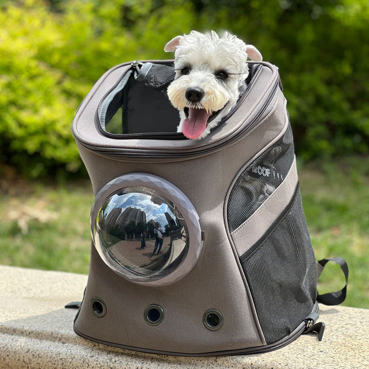 The Ultimate Travel Companion for Your Pet