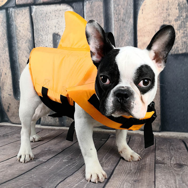 b99dd055280fca8a8f563a4fa446ee6f