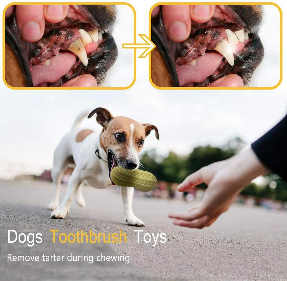 9f3177655ce237be8c0af8029d8ca2cd