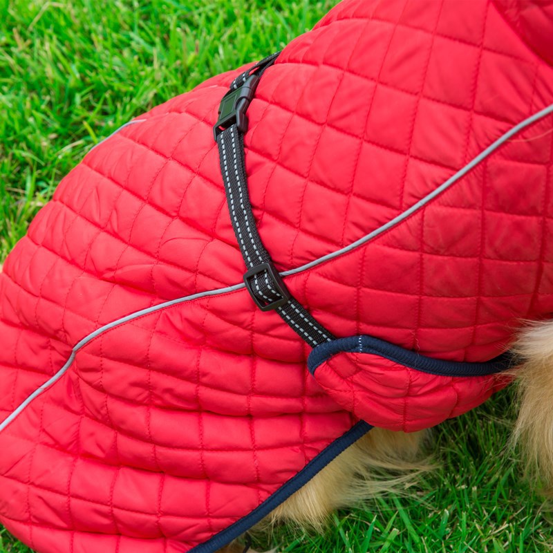 47ccce43ffc26a9c2b8589900d6fbc9e