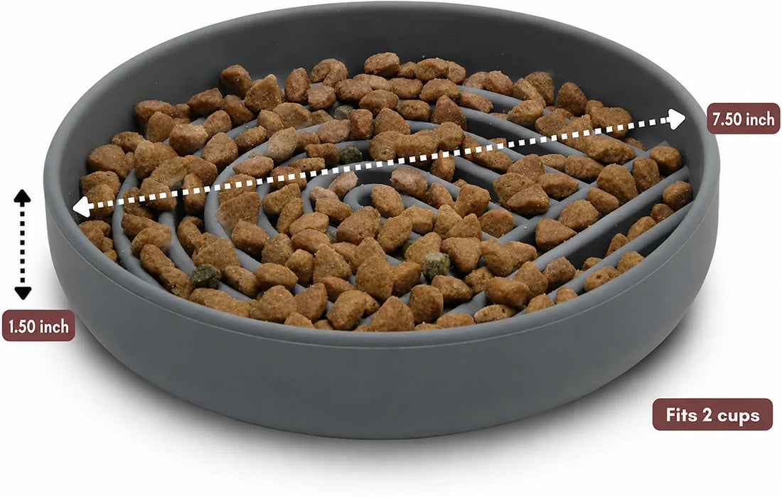 Pet Fashion Simple Slow Feeding Bowl Anti-Choking Design
